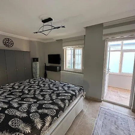 Large Beachfront In Natural Seaside With Sea View 4* Yukarı Kocaali